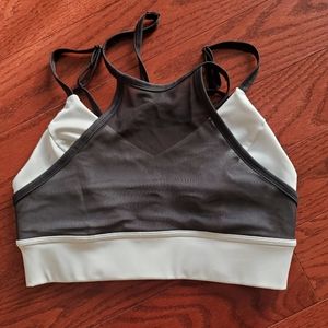 Without Walls Sports Bra with Mesh Overlay